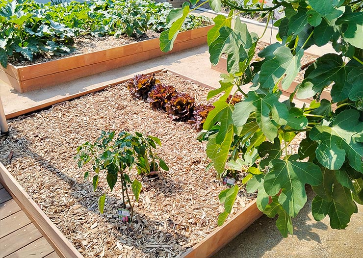 actu-jardin-2