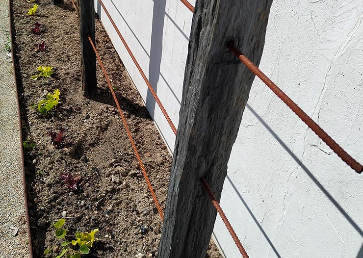 actu-jardin-3
